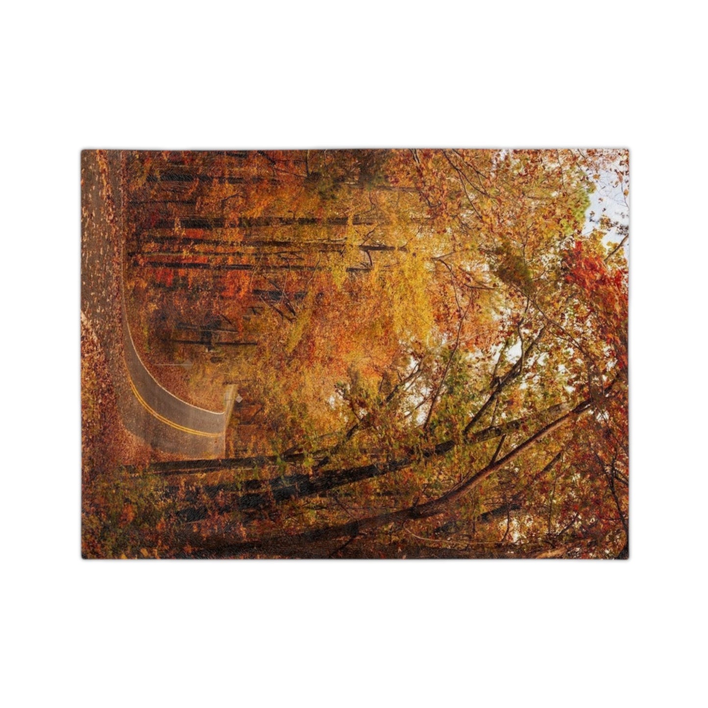 Autumn Forest Velveteen Blanket, Cozy Fall Decor, Soft Microfiber Blanket for Home, Perfect Gift for Thanksgiving, Nature Lovers