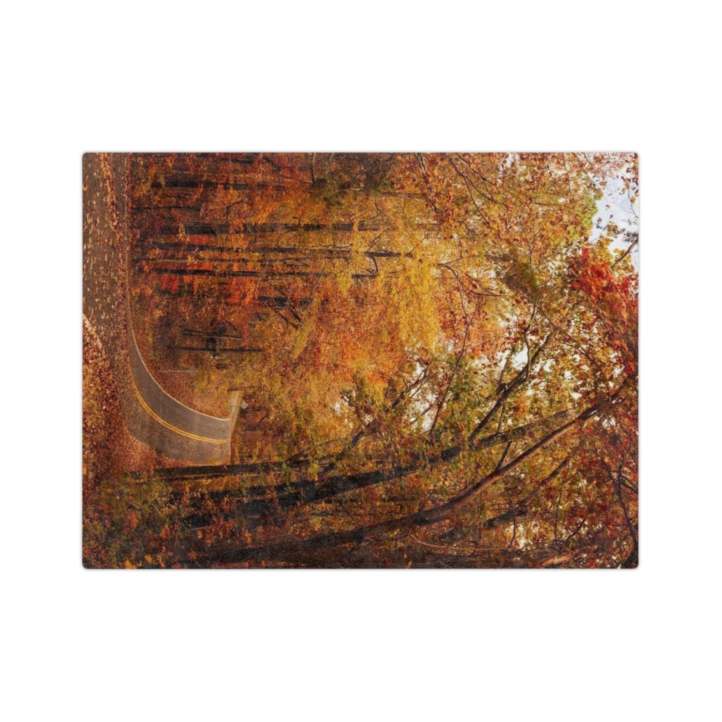 Autumn Forest Velveteen Blanket, Cozy Fall Decor, Soft Microfiber Blanket for Home, Perfect Gift for Thanksgiving, Nature Lovers