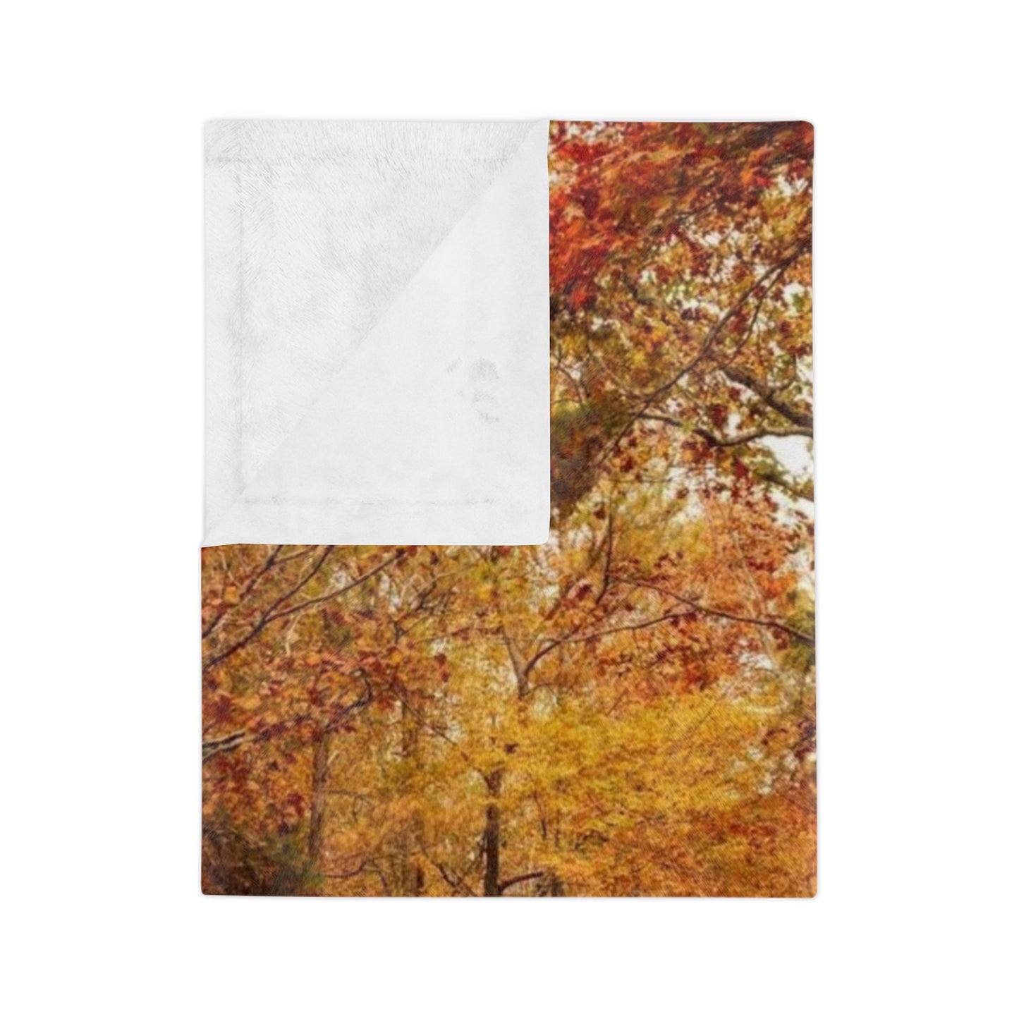 Autumn Forest Velveteen Blanket, Cozy Fall Decor, Soft Microfiber Blanket for Home, Perfect Gift for Thanksgiving, Nature Lovers