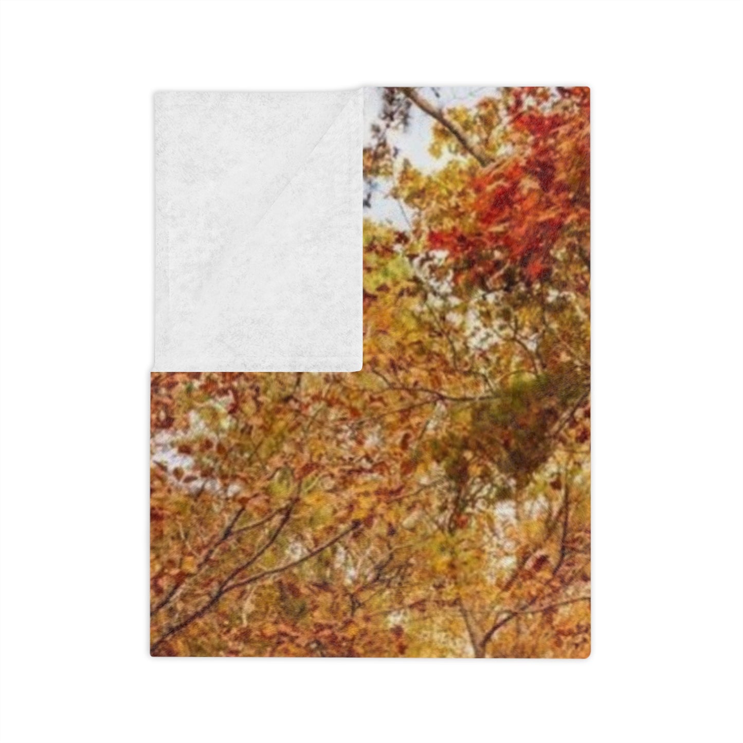 Autumn Forest Velveteen Blanket, Cozy Fall Decor, Soft Microfiber Blanket for Home, Perfect Gift for Thanksgiving, Nature Lovers