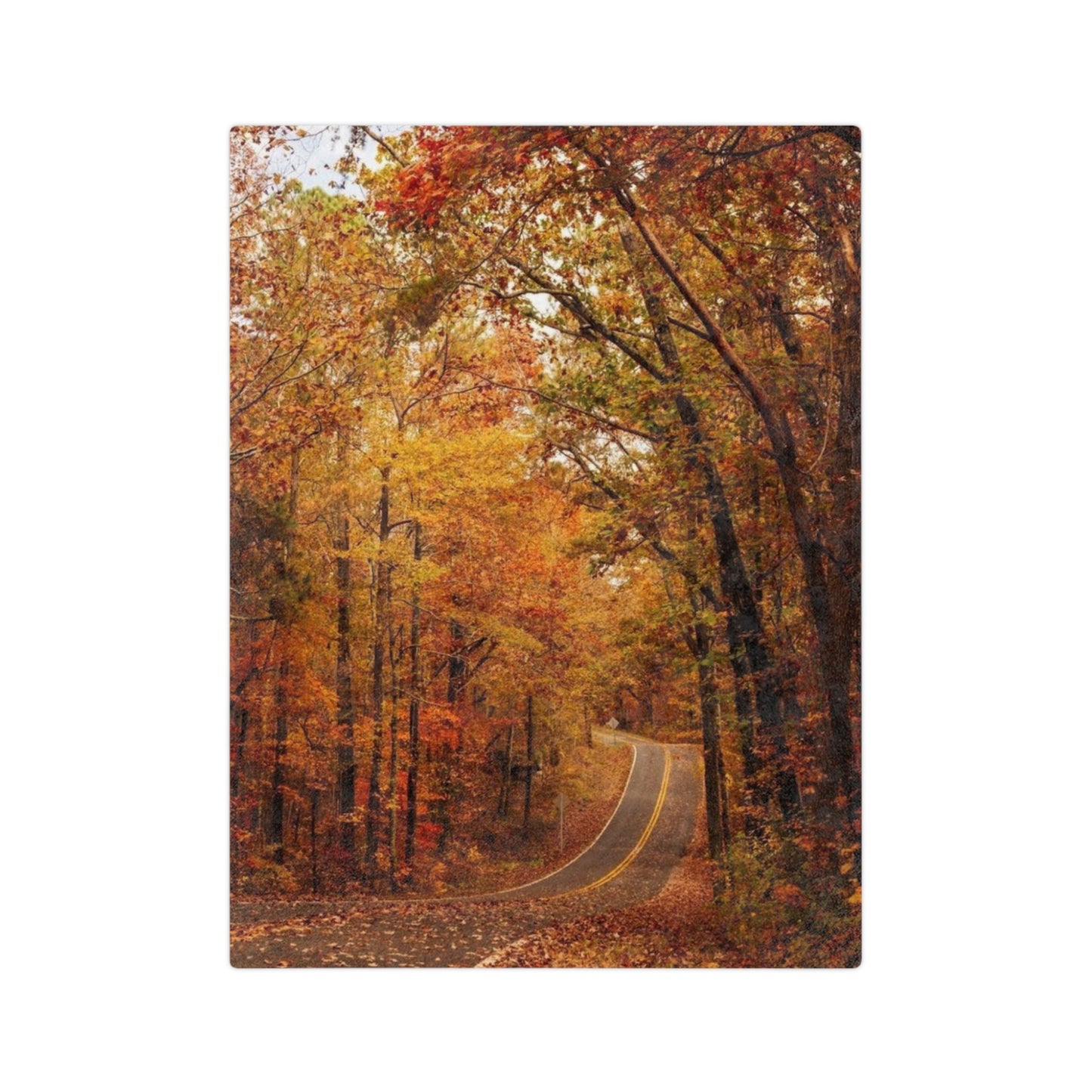 Autumn Forest Velveteen Blanket, Cozy Fall Decor, Soft Microfiber Blanket for Home, Perfect Gift for Thanksgiving, Nature Lovers