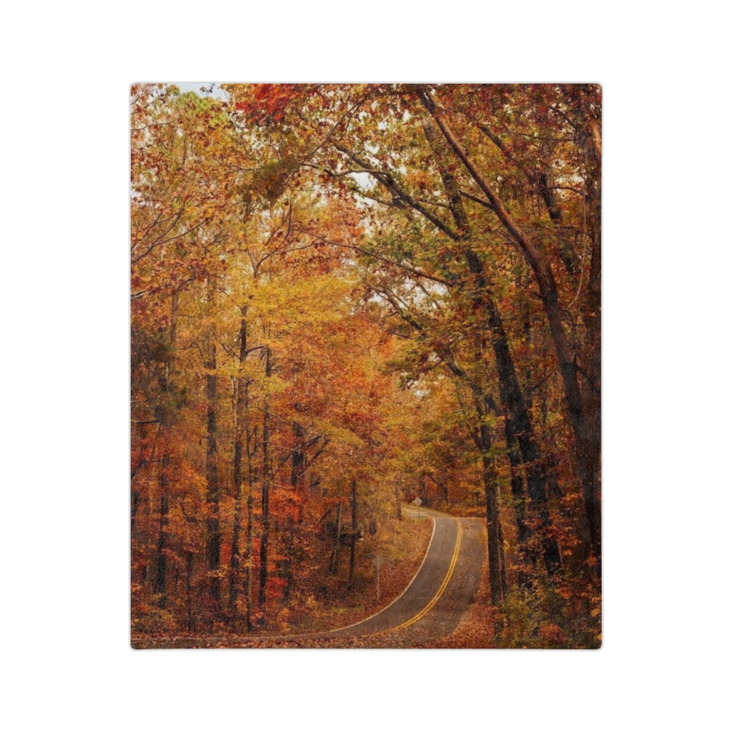 Autumn Forest Velveteen Blanket, Cozy Fall Decor, Soft Microfiber Blanket for Home, Perfect Gift for Thanksgiving, Nature Lovers