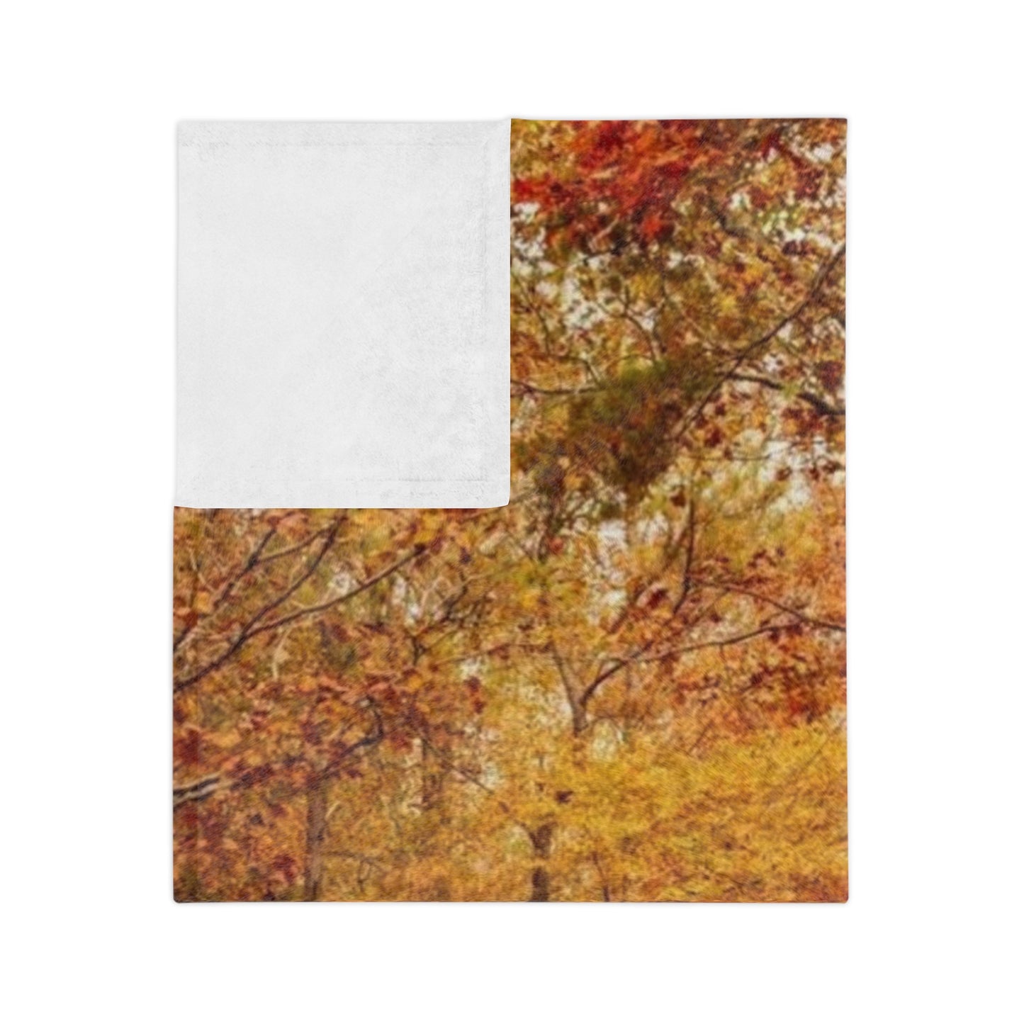 Autumn Forest Velveteen Blanket, Cozy Fall Decor, Soft Microfiber Blanket for Home, Perfect Gift for Thanksgiving, Nature Lovers